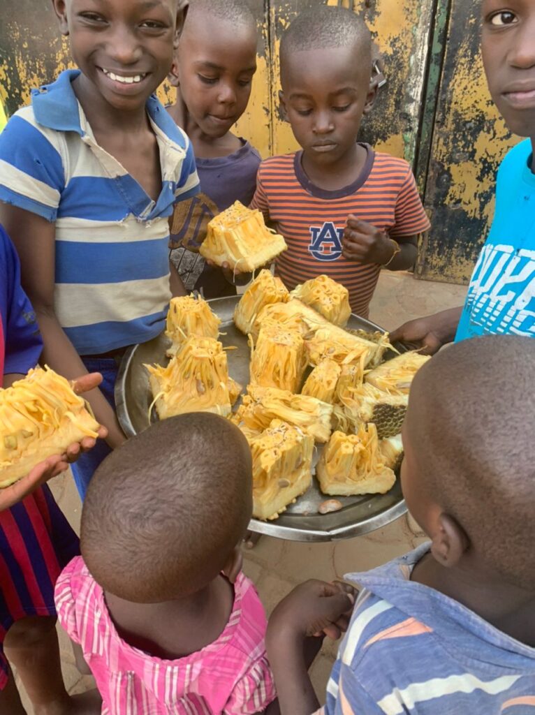 WhatsApp Image 2023-07-29 at 14.23.17